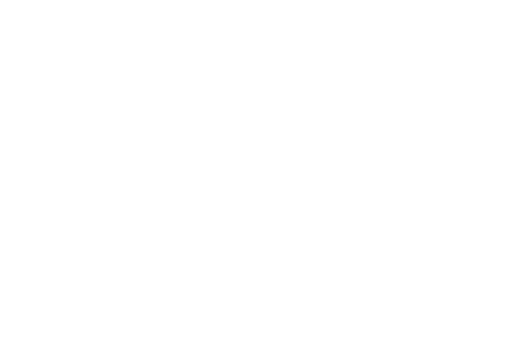 Ovesar Logo